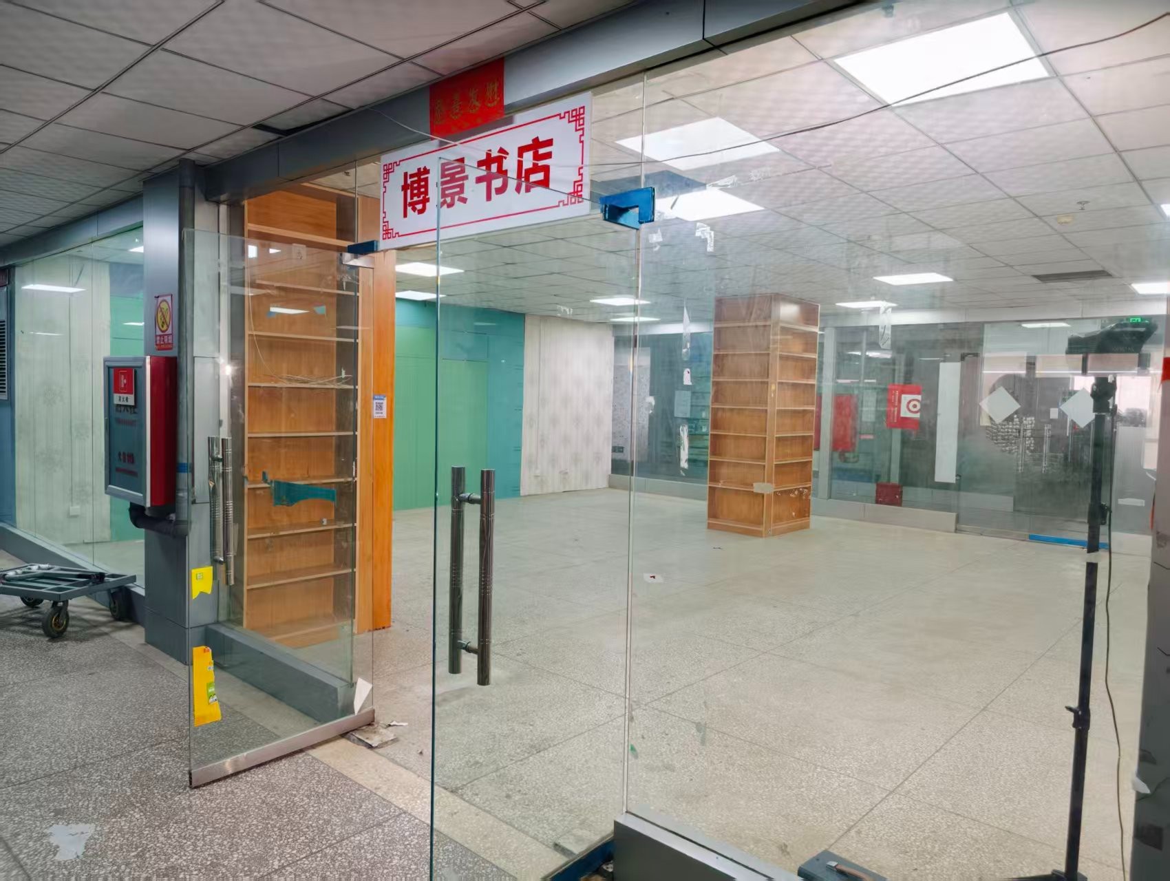 新区路AI浪潮已至，优质企业抢先布局