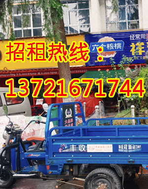 新区路1